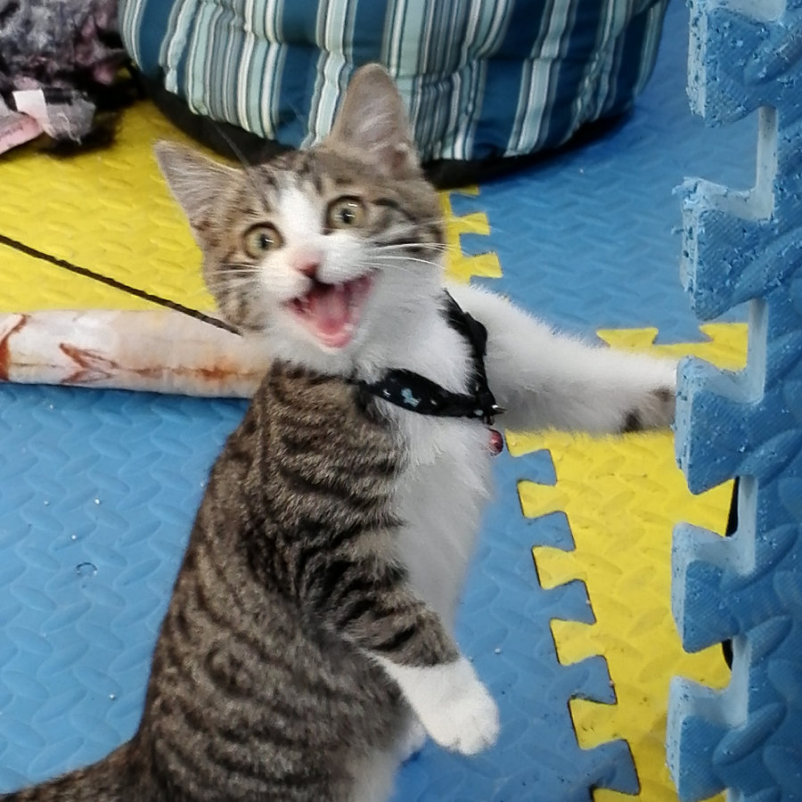 手机用户13751984