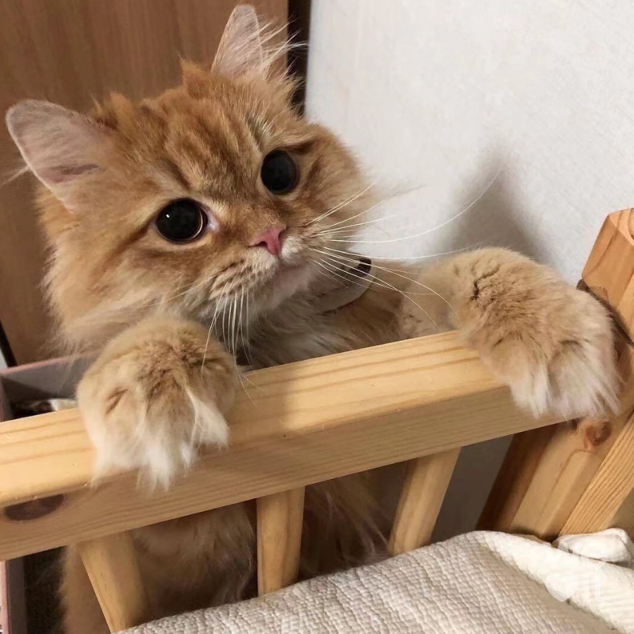 魂魂魂魂魂魂魂