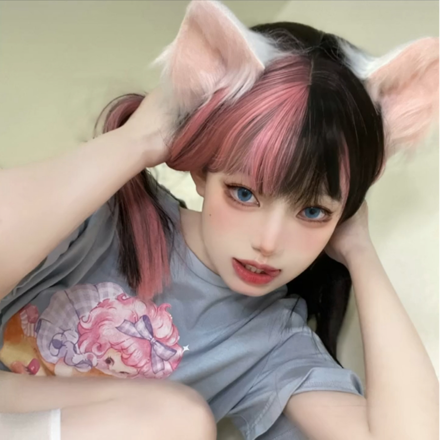 喵咪