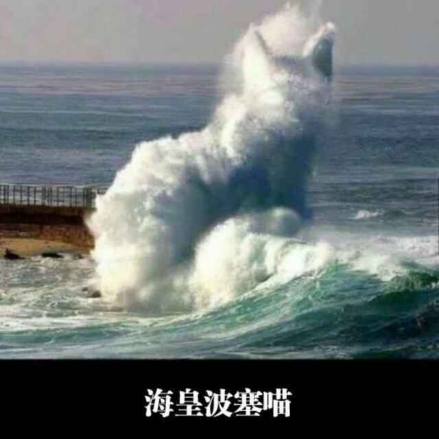 那就这样吧