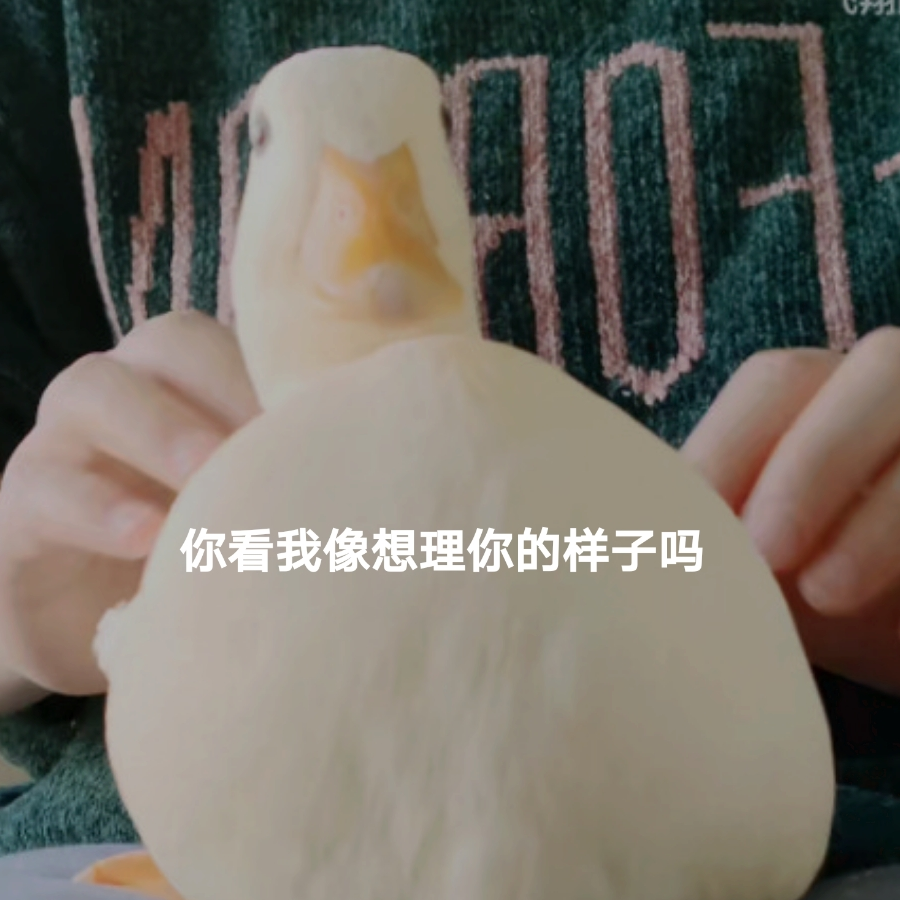 林影月
