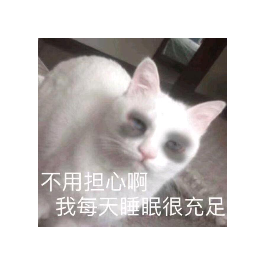 福猪🐷