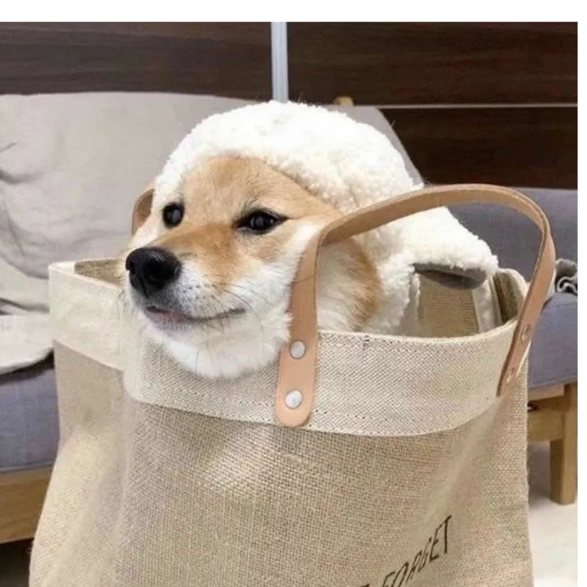 机智的_老李