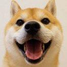 槑叁👀