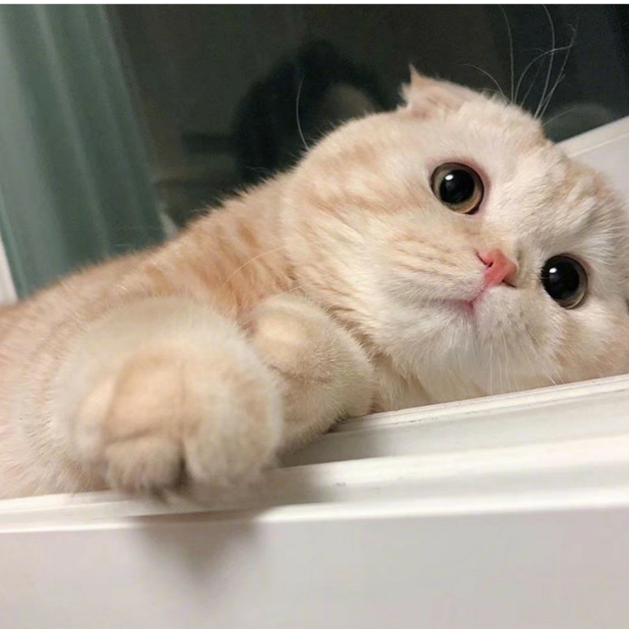 Chloe.