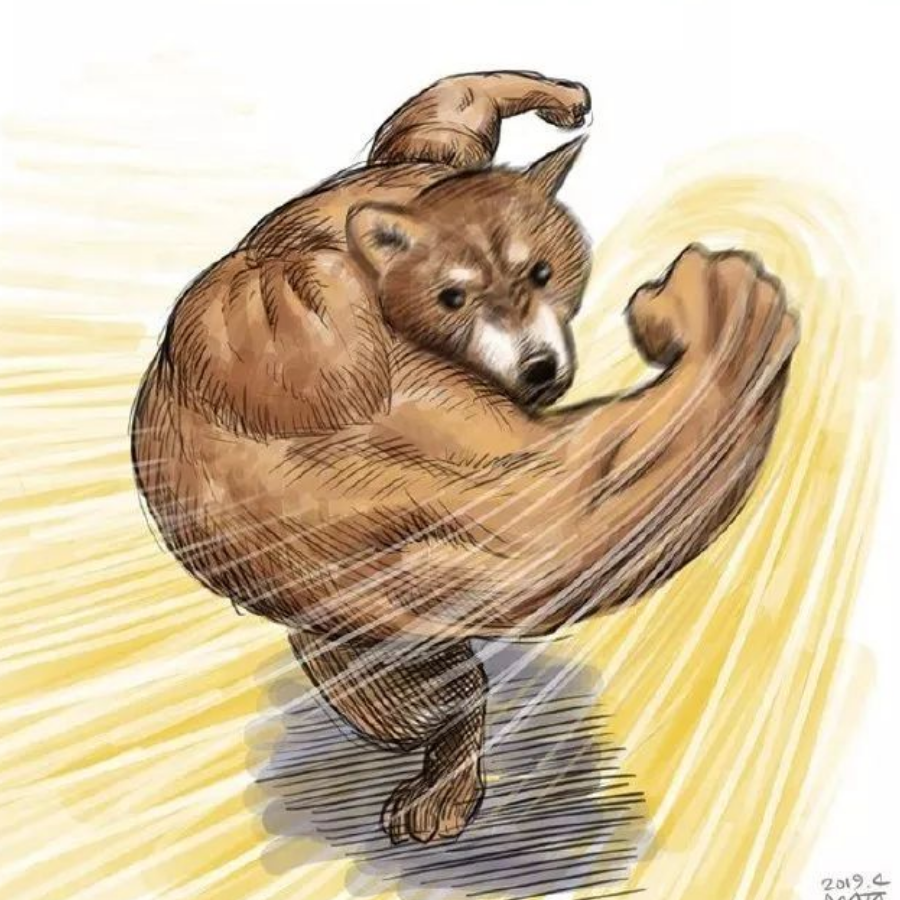 ち橋わ
