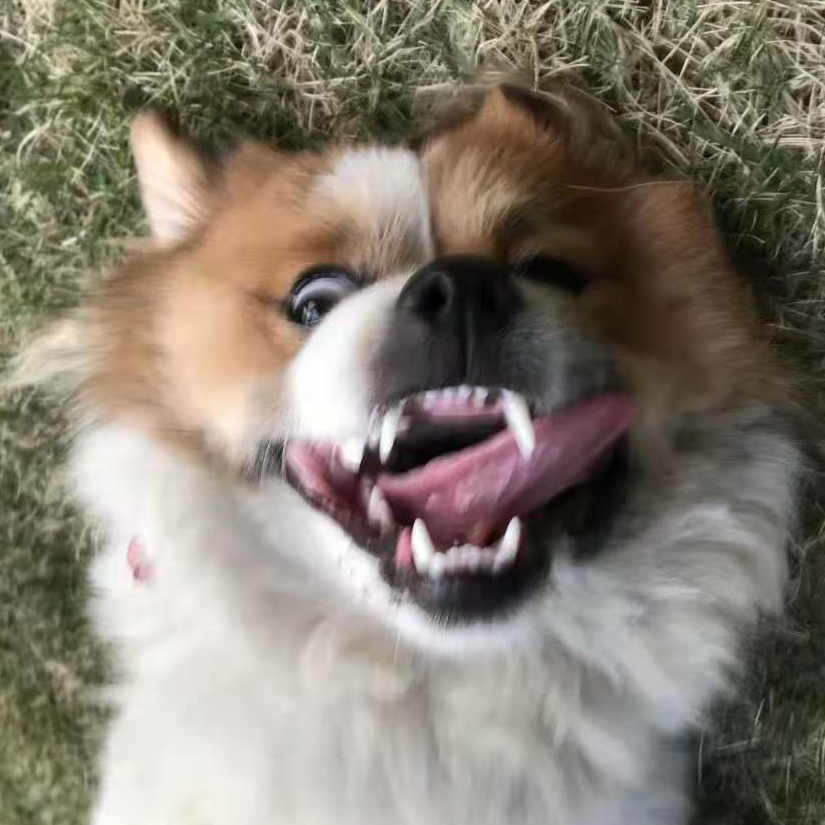 。。