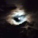蒋星