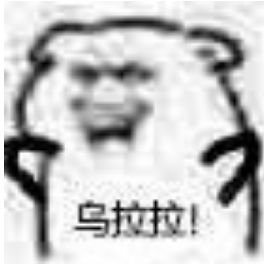 吃瓜第一名