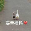 白予