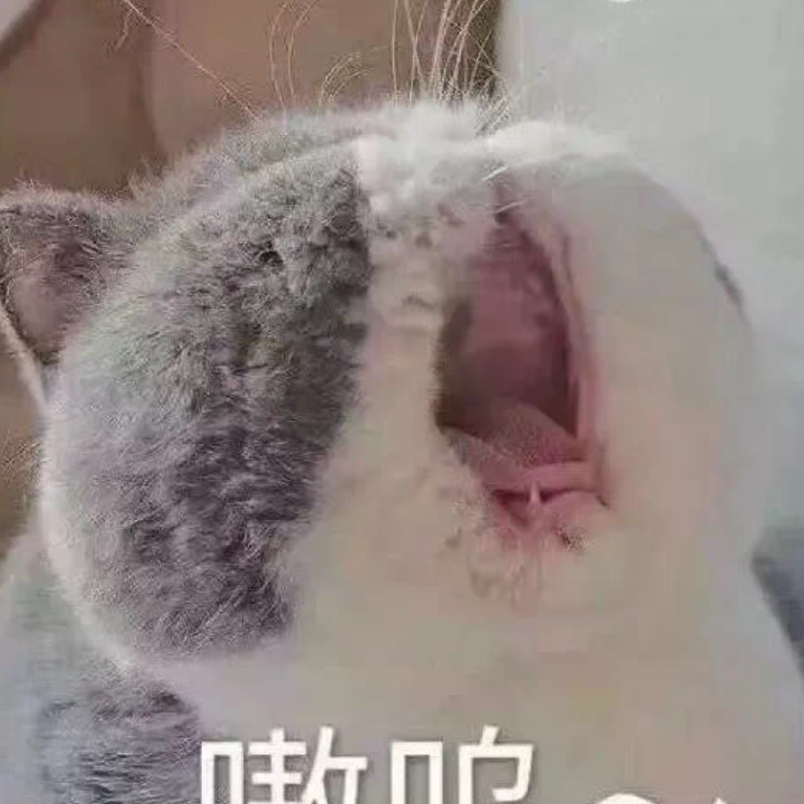 透镜