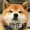 受伤的小乌龟
