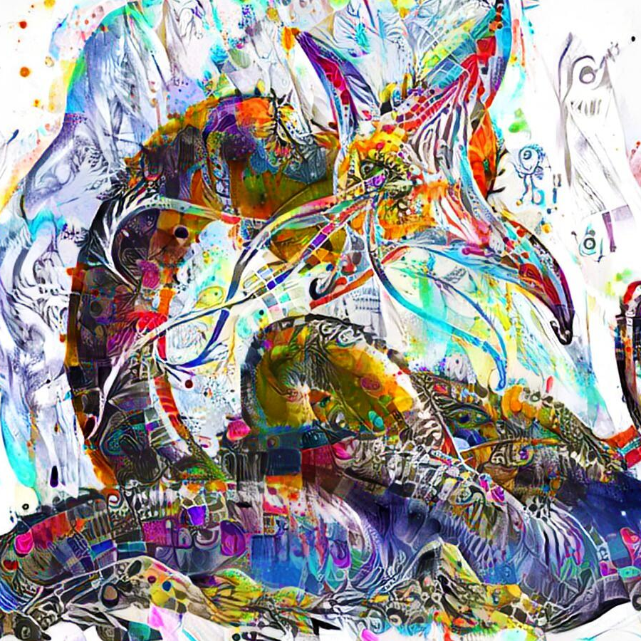 一言不合就减肥的我