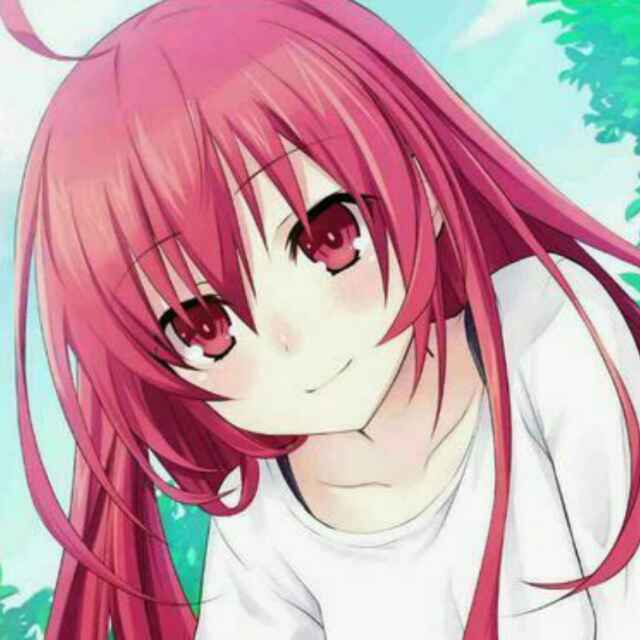 小学鸡