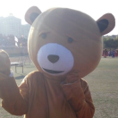 猪葛孔明