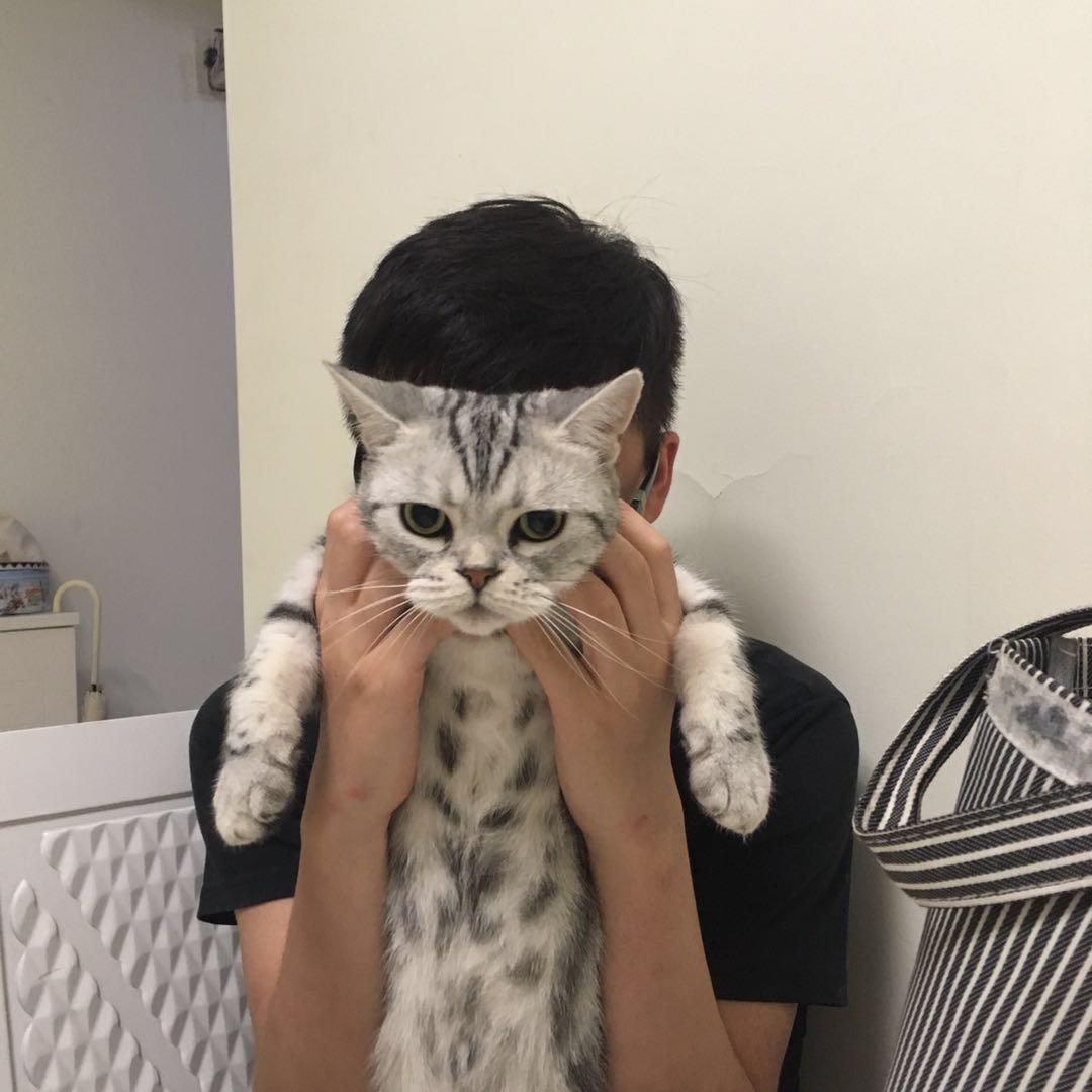 阿湫