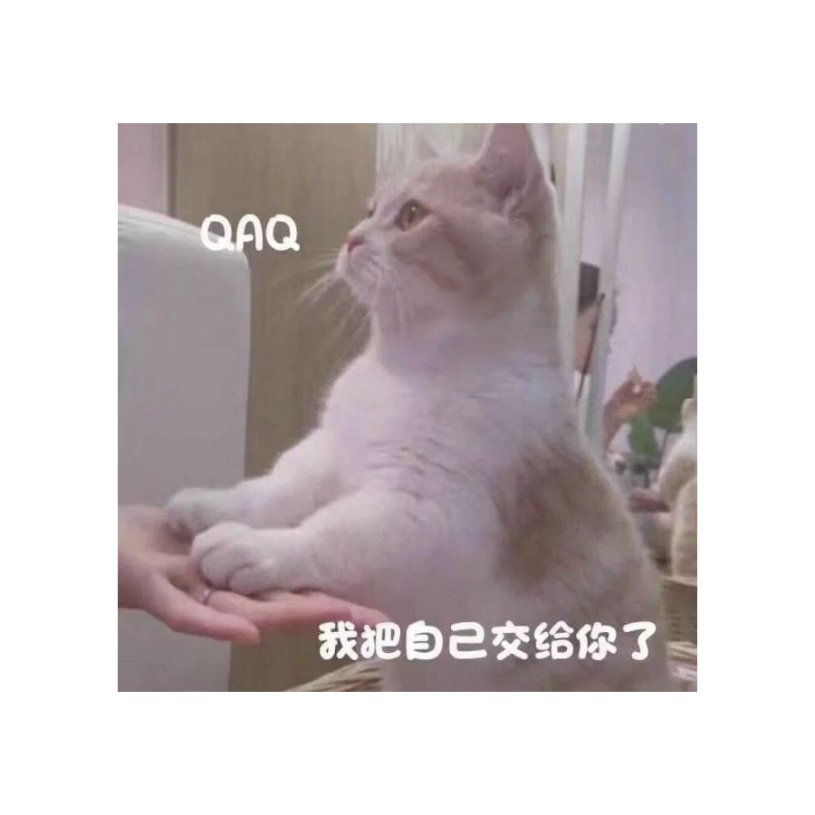 阿鸢