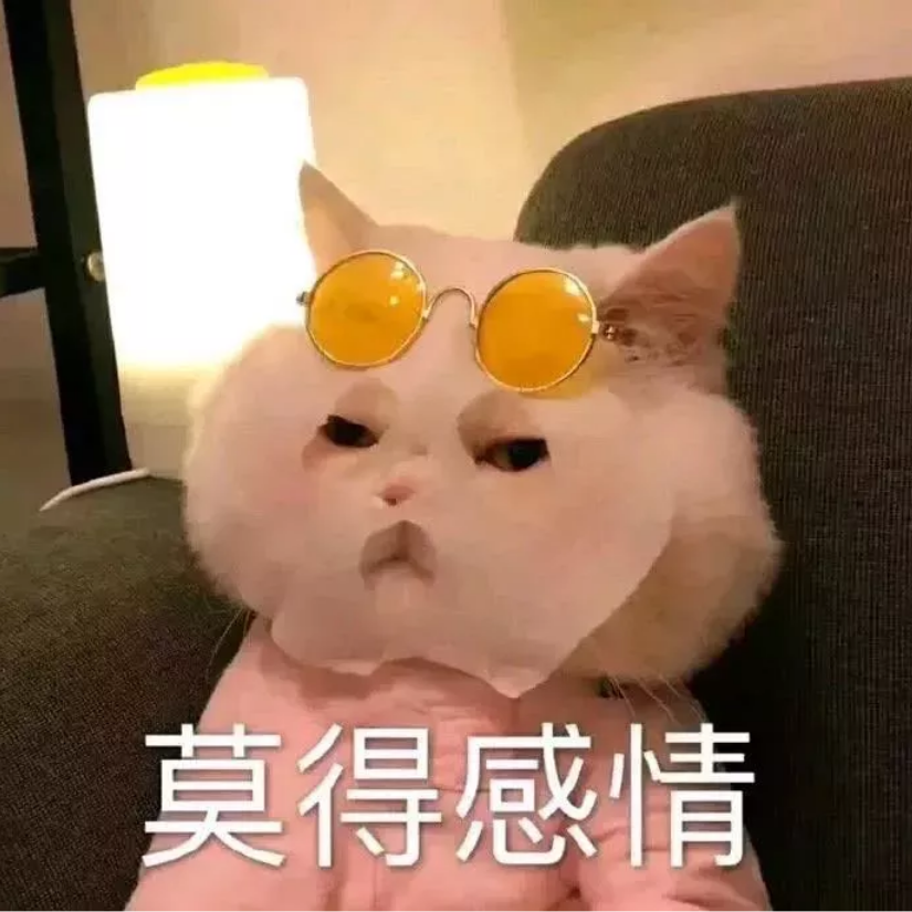 天涯共明月