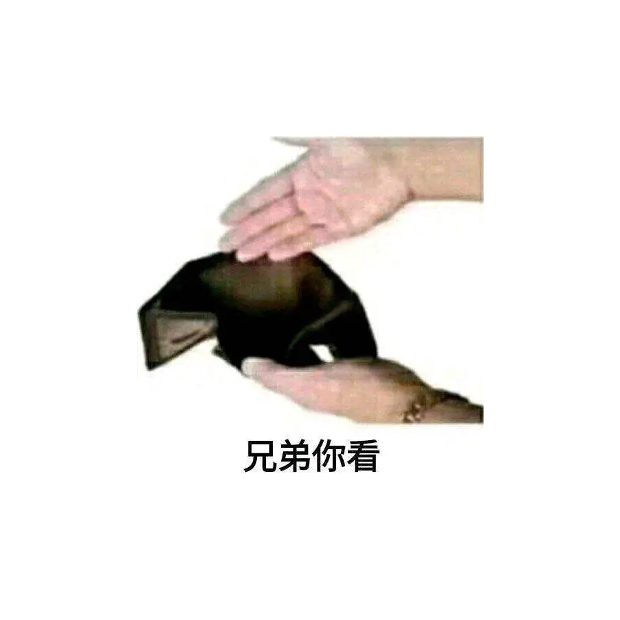 老猫