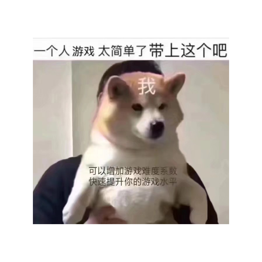 又菜又爱玩
