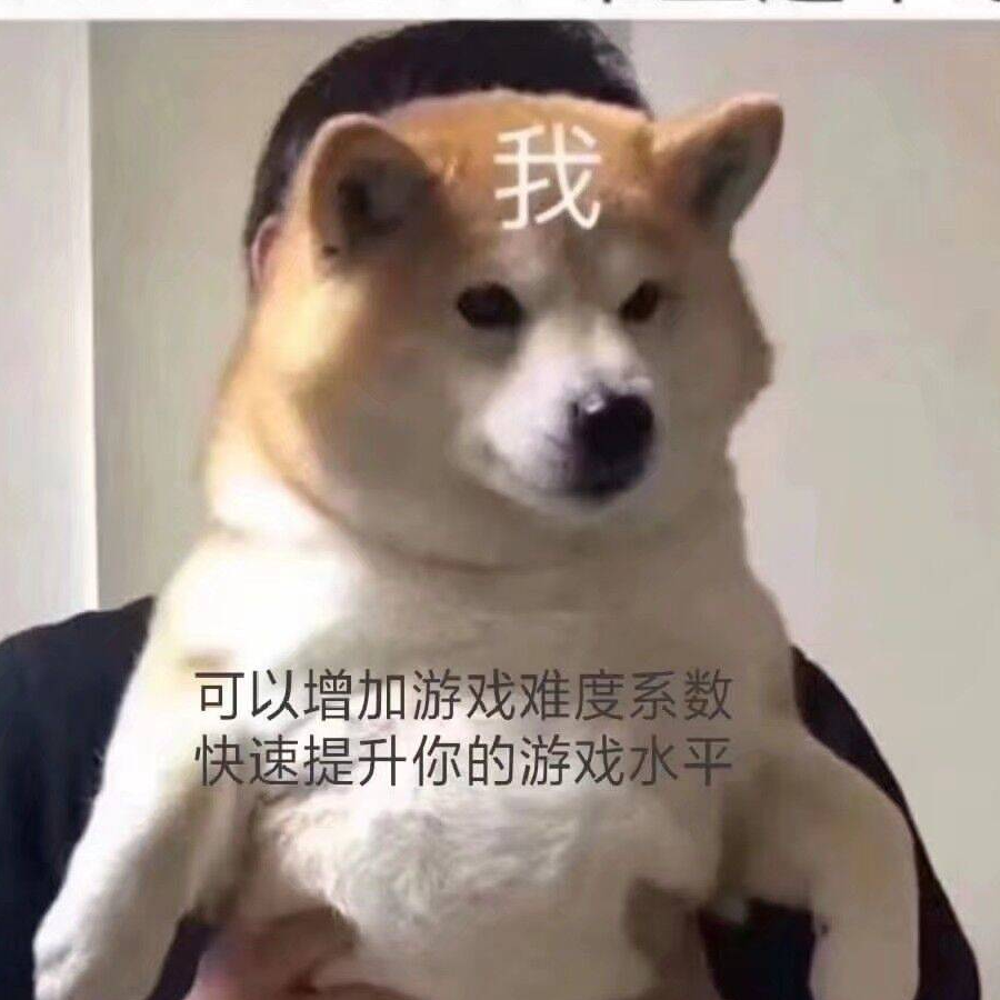 波动的光