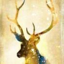 🇱 🇴 🇸 🇹