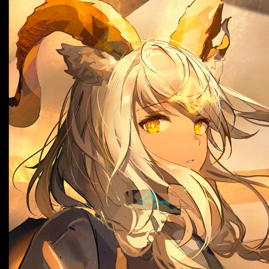 今天摩多摩多了没