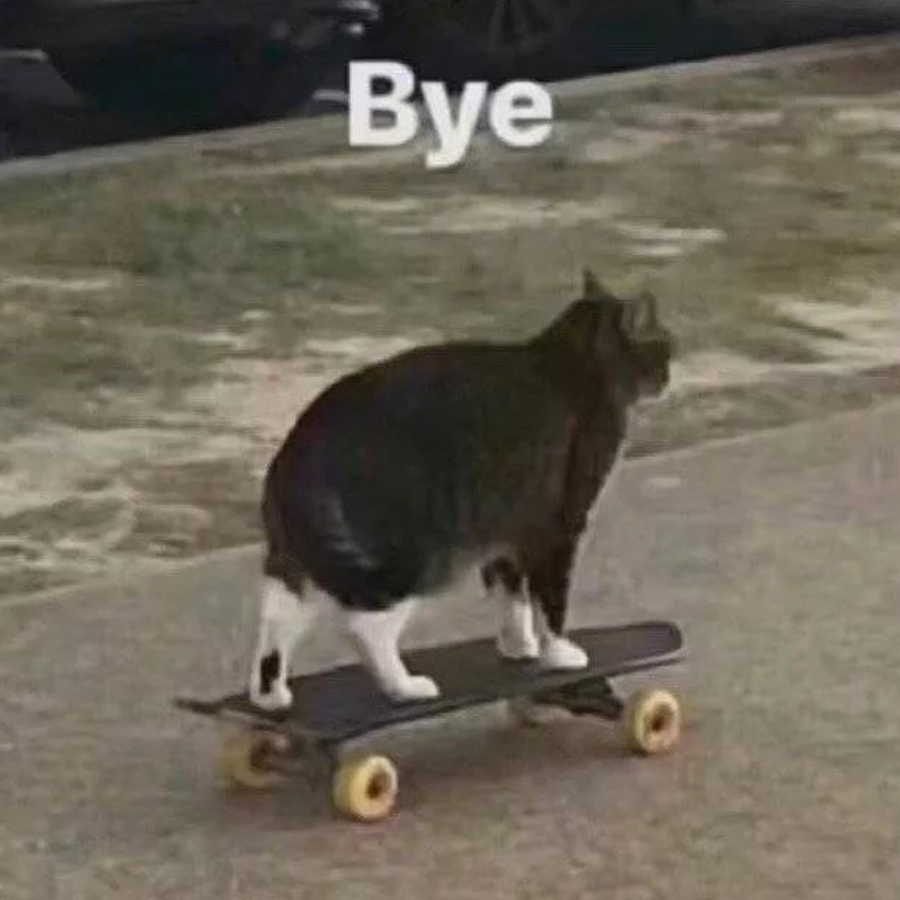 暖树.