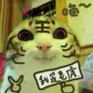 简单人生《CJ銘》