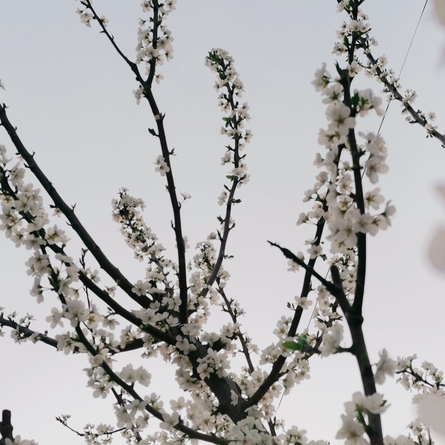清醒