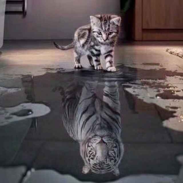 余姥爷