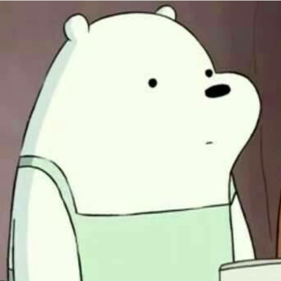 ice bear