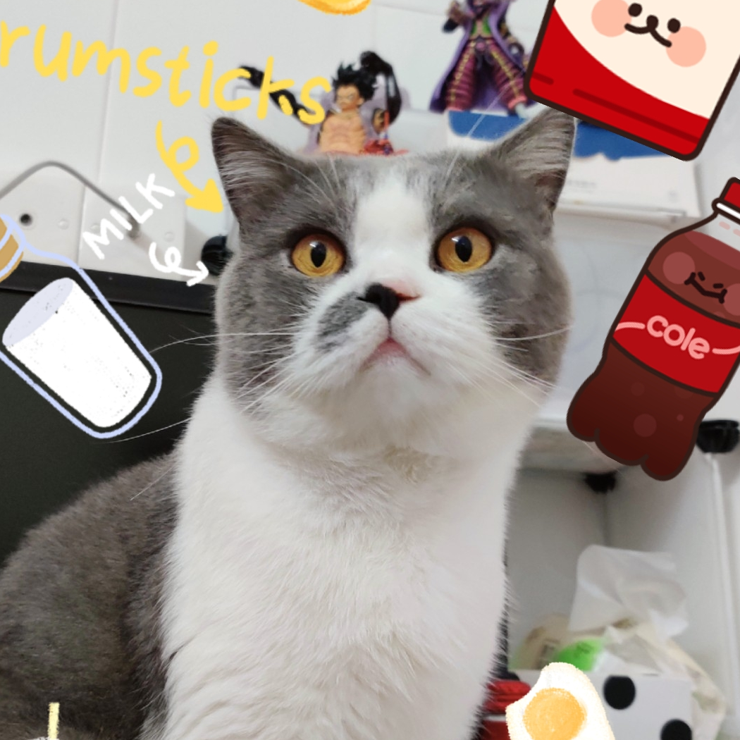 良好市民阿拉索