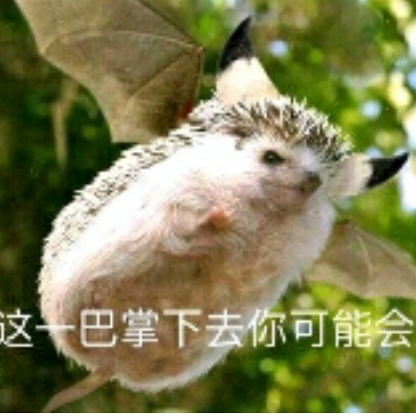 mega琛