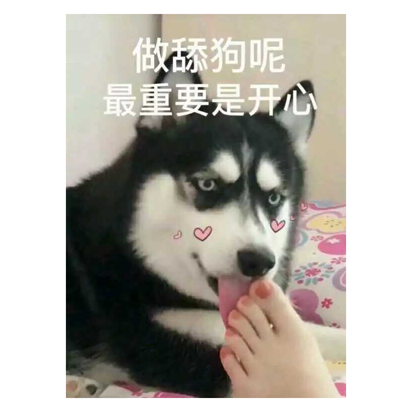 雁来飞雪