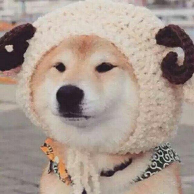 天易冷