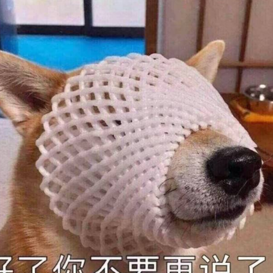 元気骑士