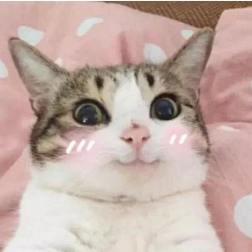 三三丿吖