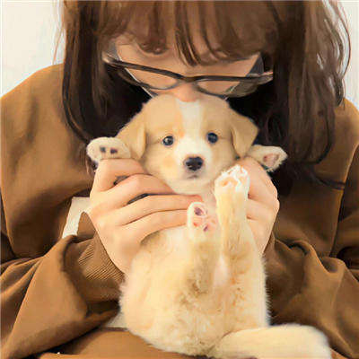 谣。