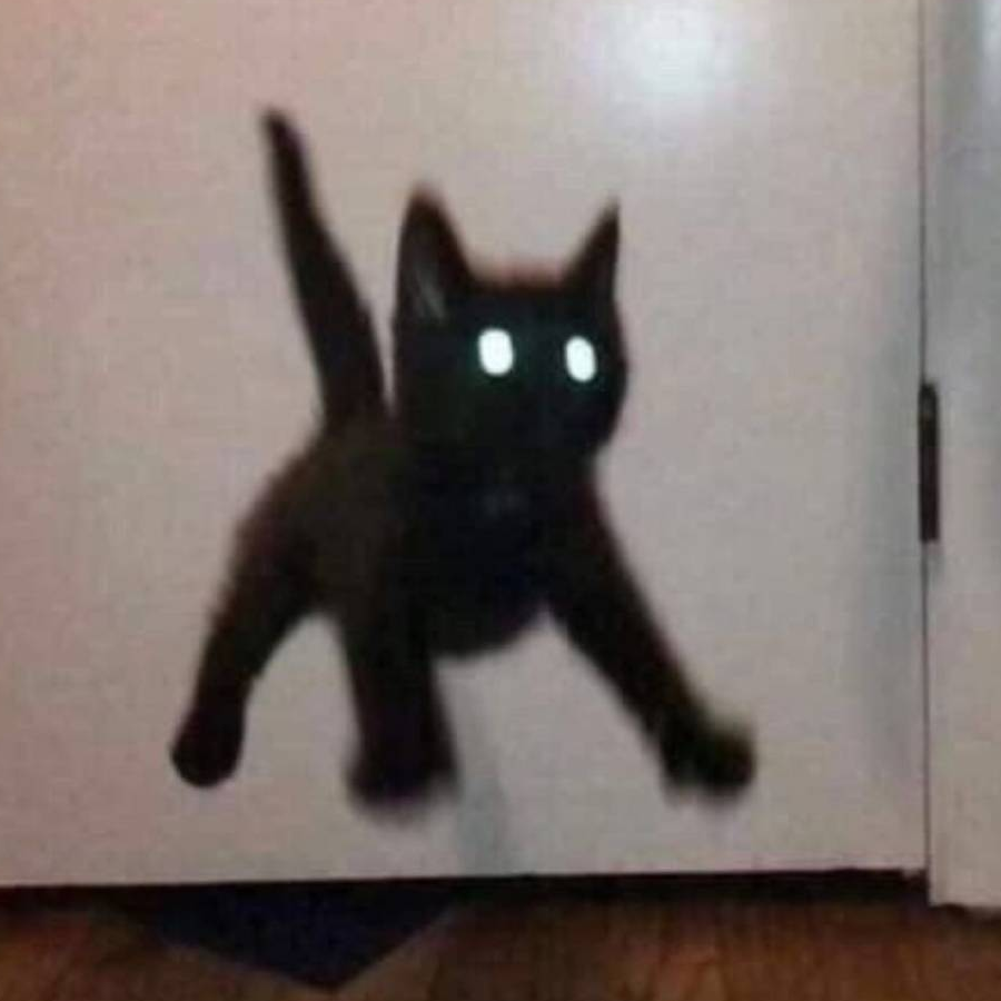 苏子