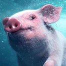 等待是壹種慢性的毒藥﹌