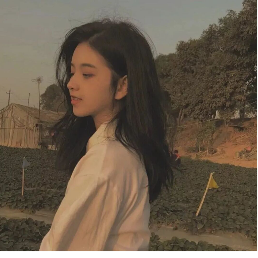 晚棠