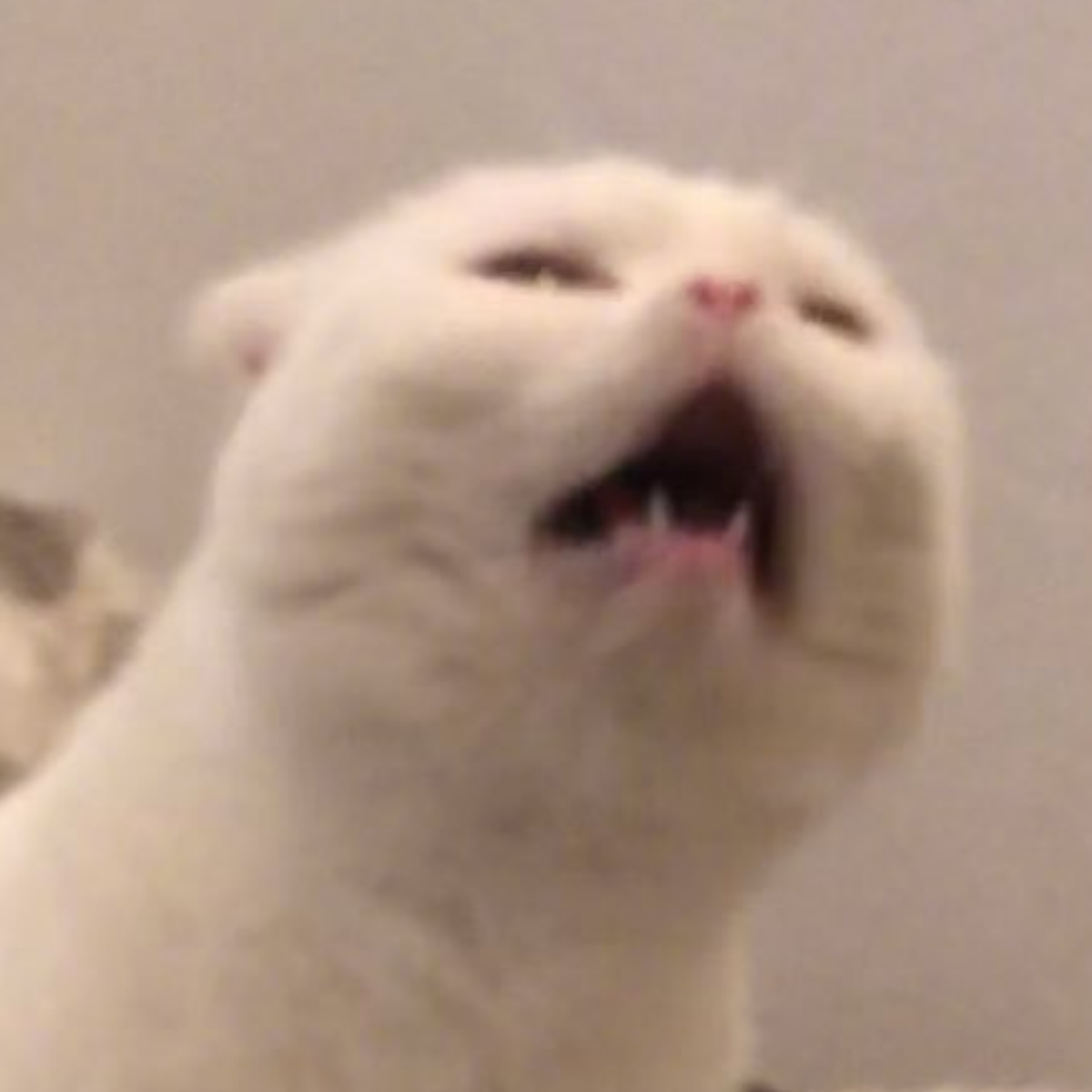 荒城