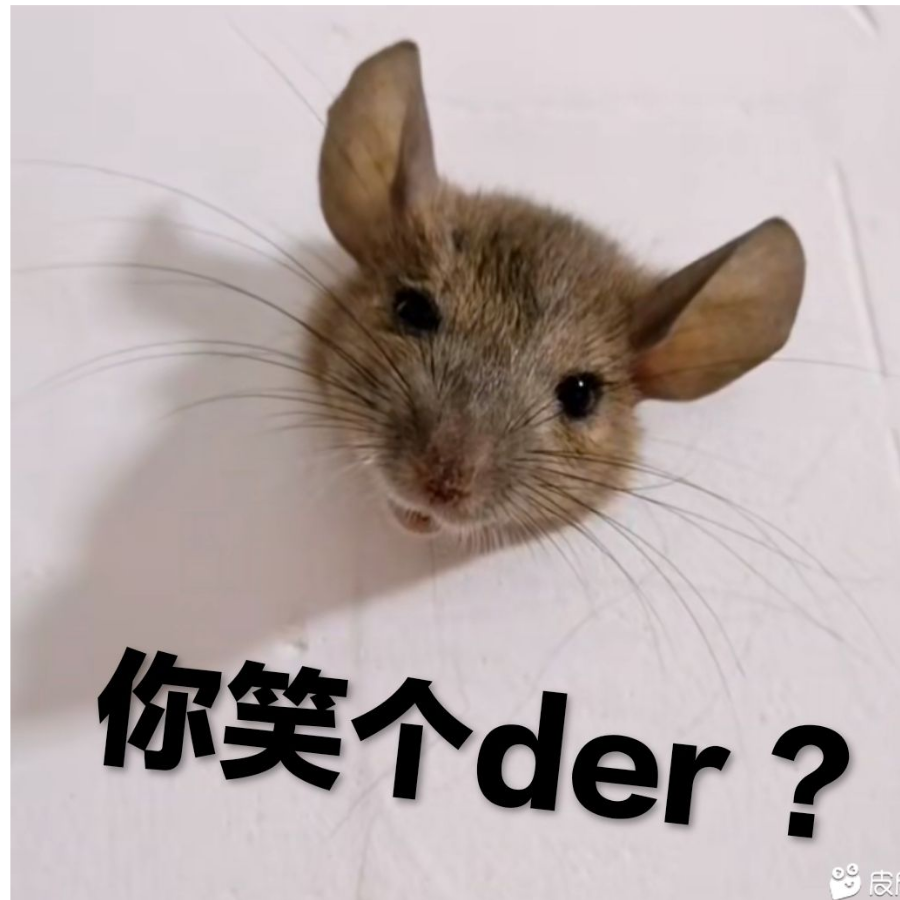 洛黎