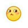 User15095378