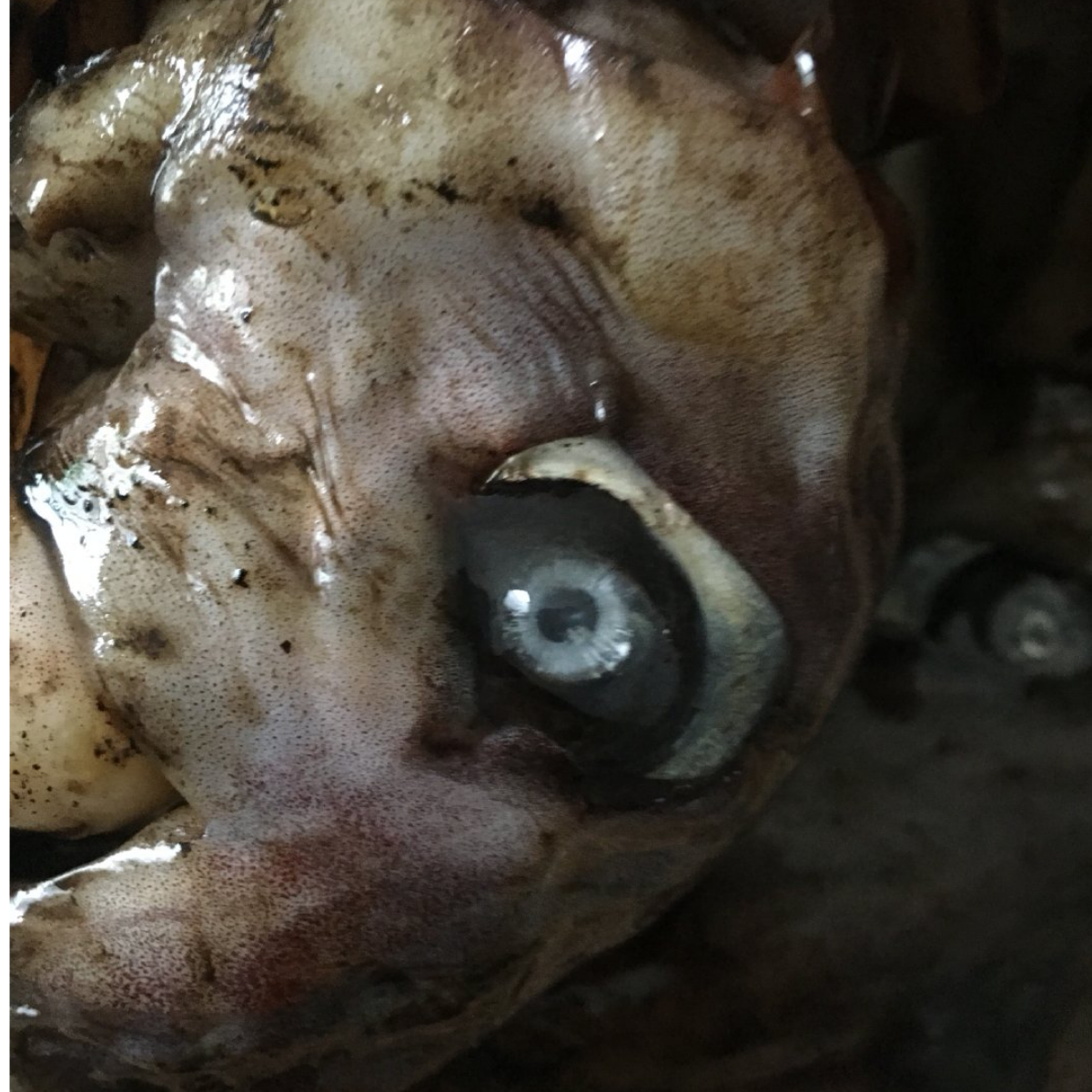 今天抽奖商店刷的 要换吗