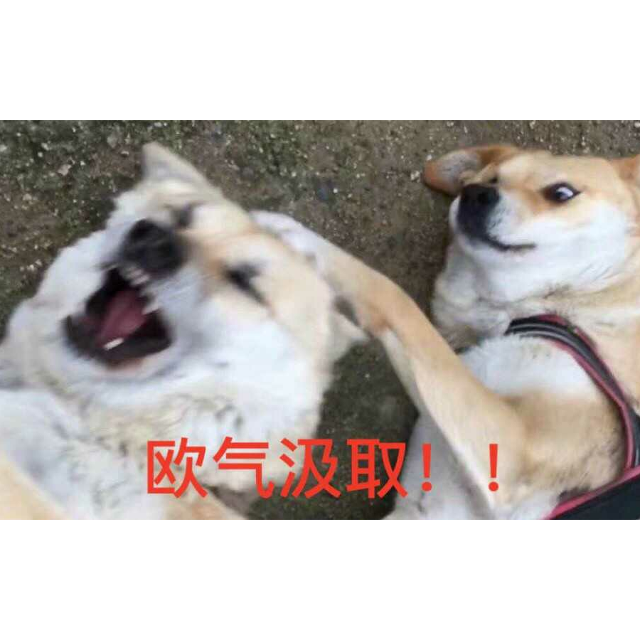 晓东空