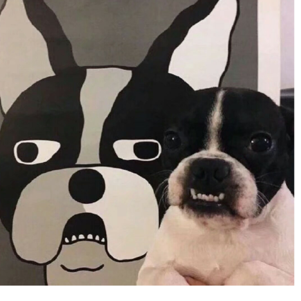 XXX