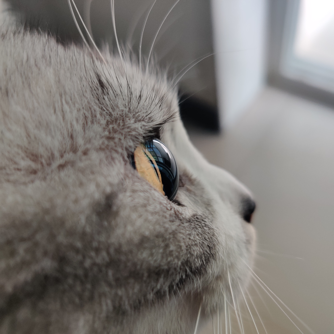 哒啦丶