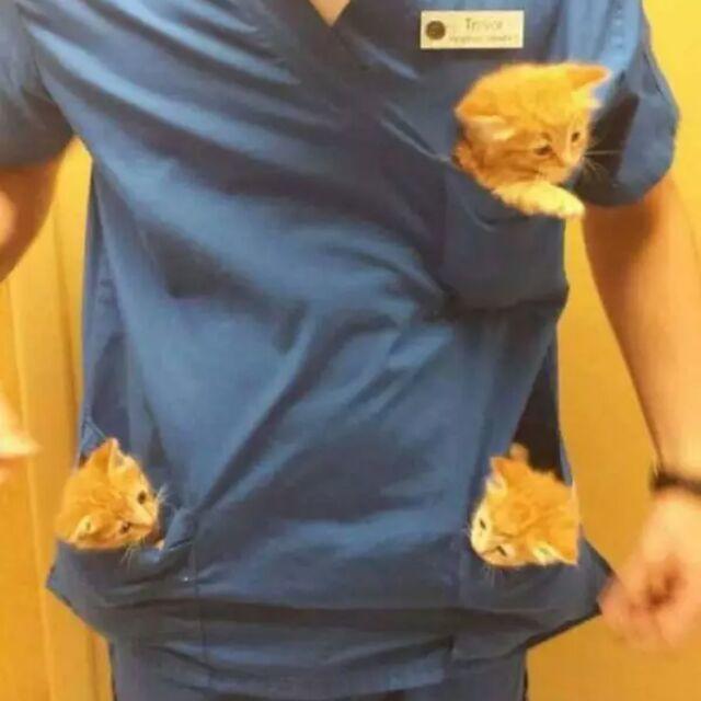 嗷